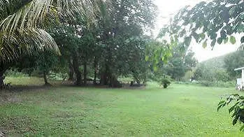 Bungalow Papaye Guadeloupe