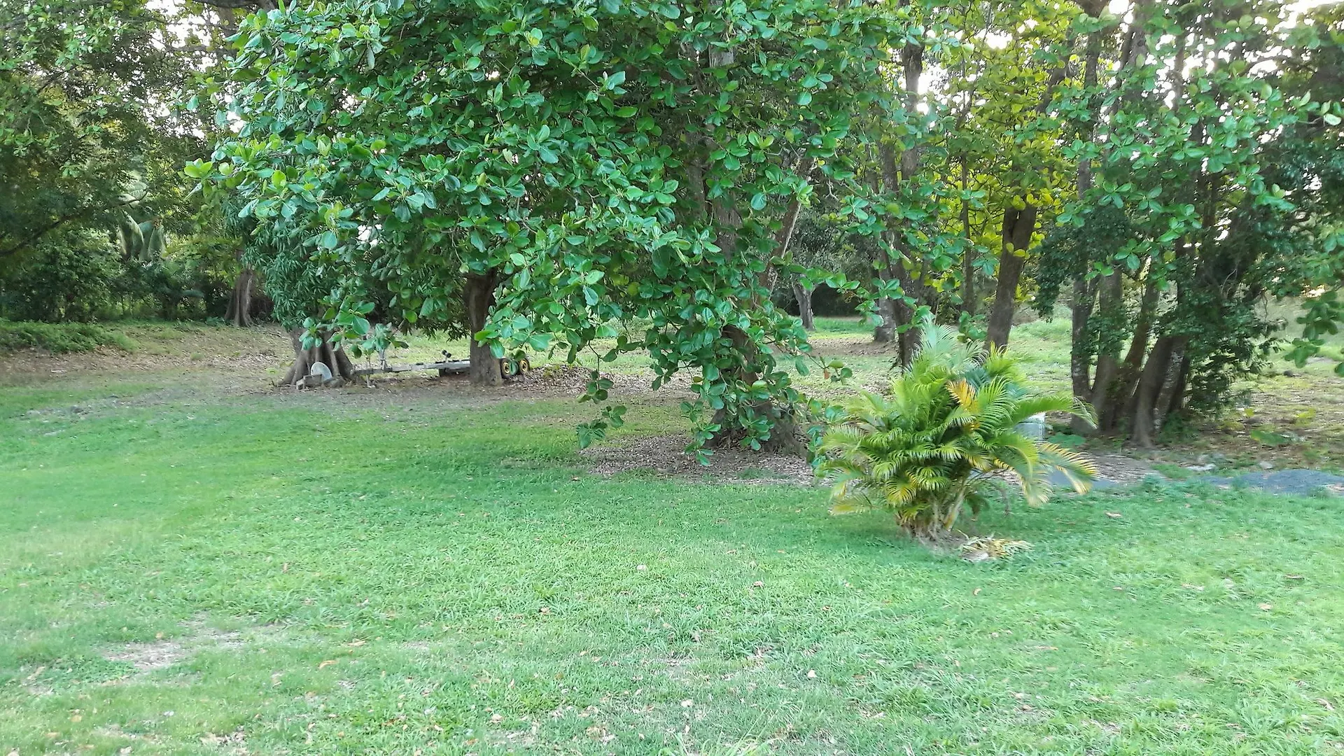 Bungalow Papaye Hotel Pointe-Noire